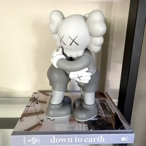 Hugging KAWS statue. Collectable!!